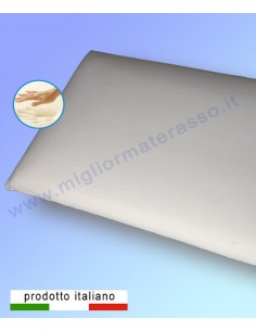 Memory Aloe 6 cm high 2