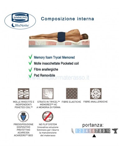 Spring Pillow Simmons