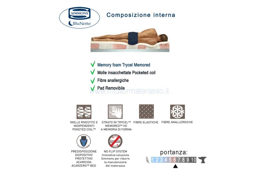 Spring Pillow Simmons