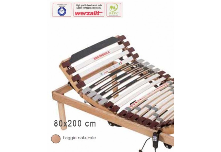 Rete Motorizzata 80x200 prezzo offerta