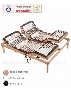 Adjustable bed medical Byron