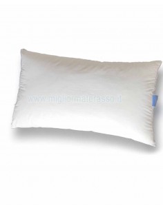 Organic cotton Pillow 2