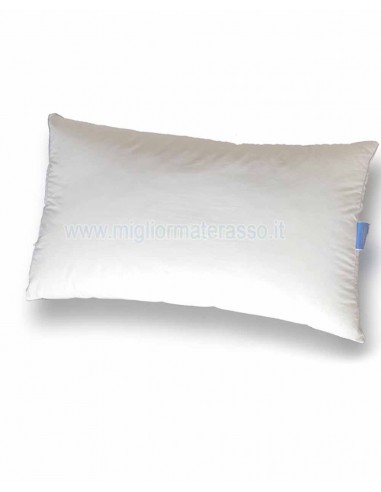 Organic cotton Pillow