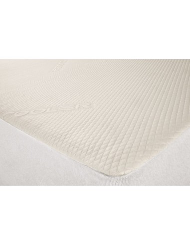 Cooler mattress cover cooler