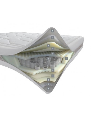 Rising Dorelan molle indipendenti