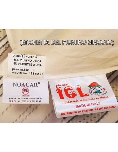 Piumino oca matrimoniale Ungheria