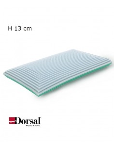 Pillow Double Dorsal 2