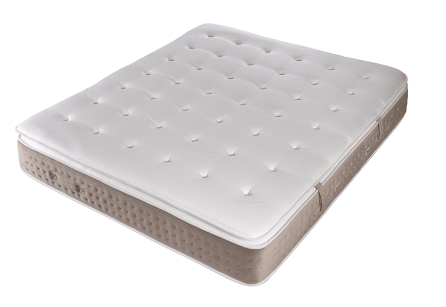 Constellation Beyond Natural Elite