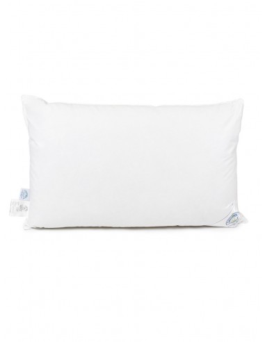 Down pillow 100%
