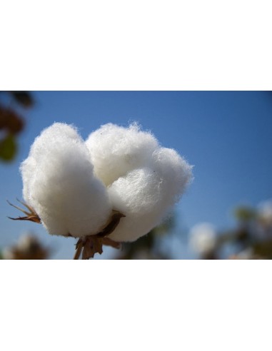 baby mattress Baby Cotton