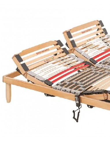Adjustable bed frame Trendy double