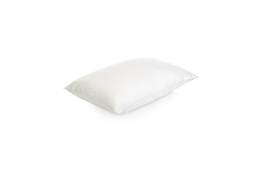 down pillow 100%