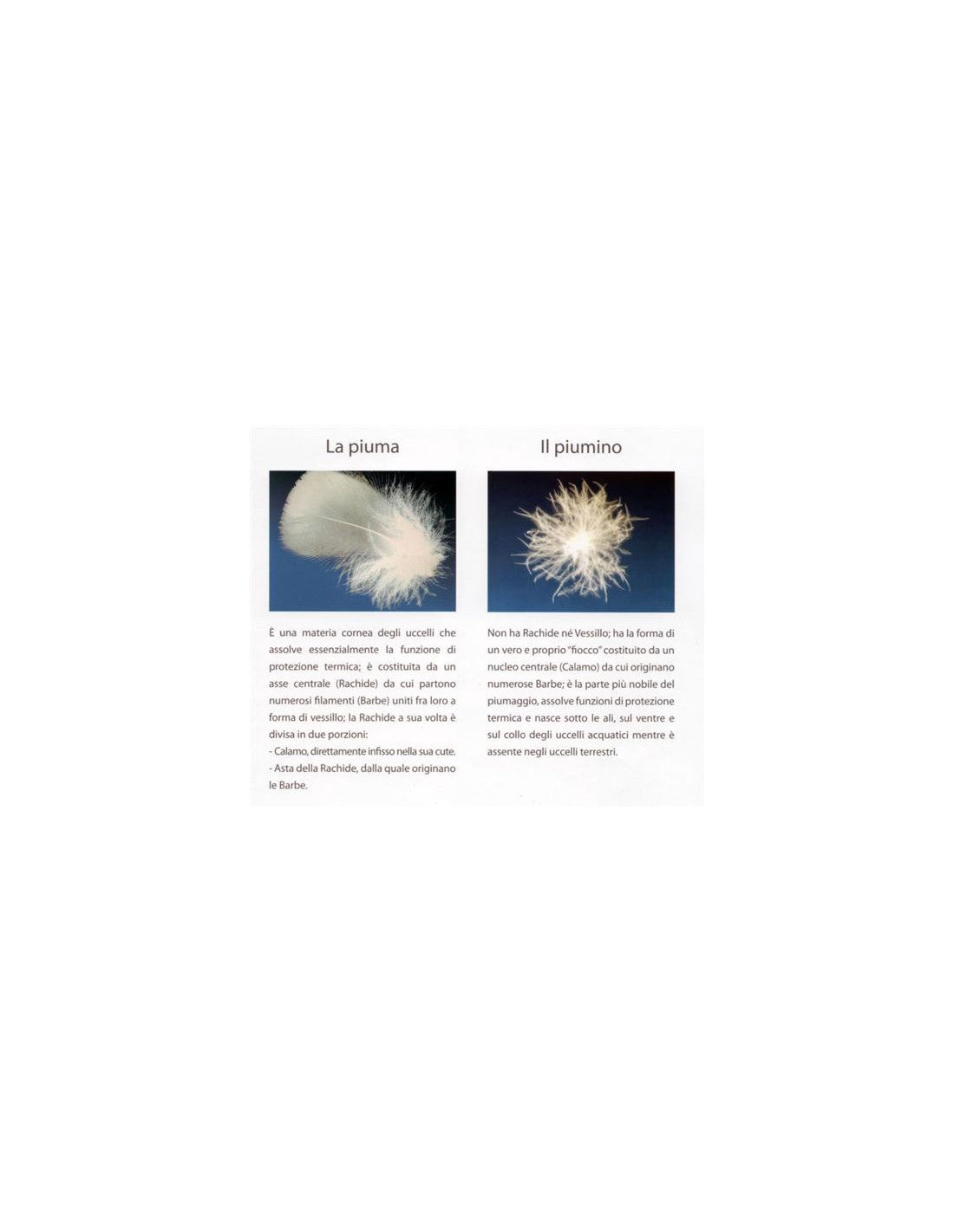 down pillow goose feather 90%