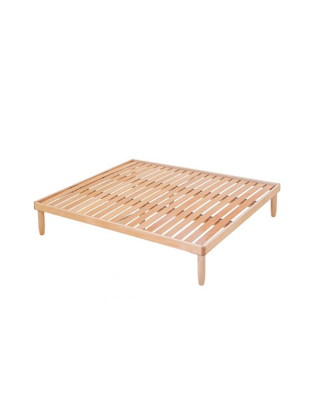 Rete Multi Doga 19 doghe