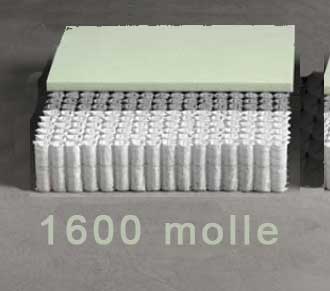 1600 micromolle